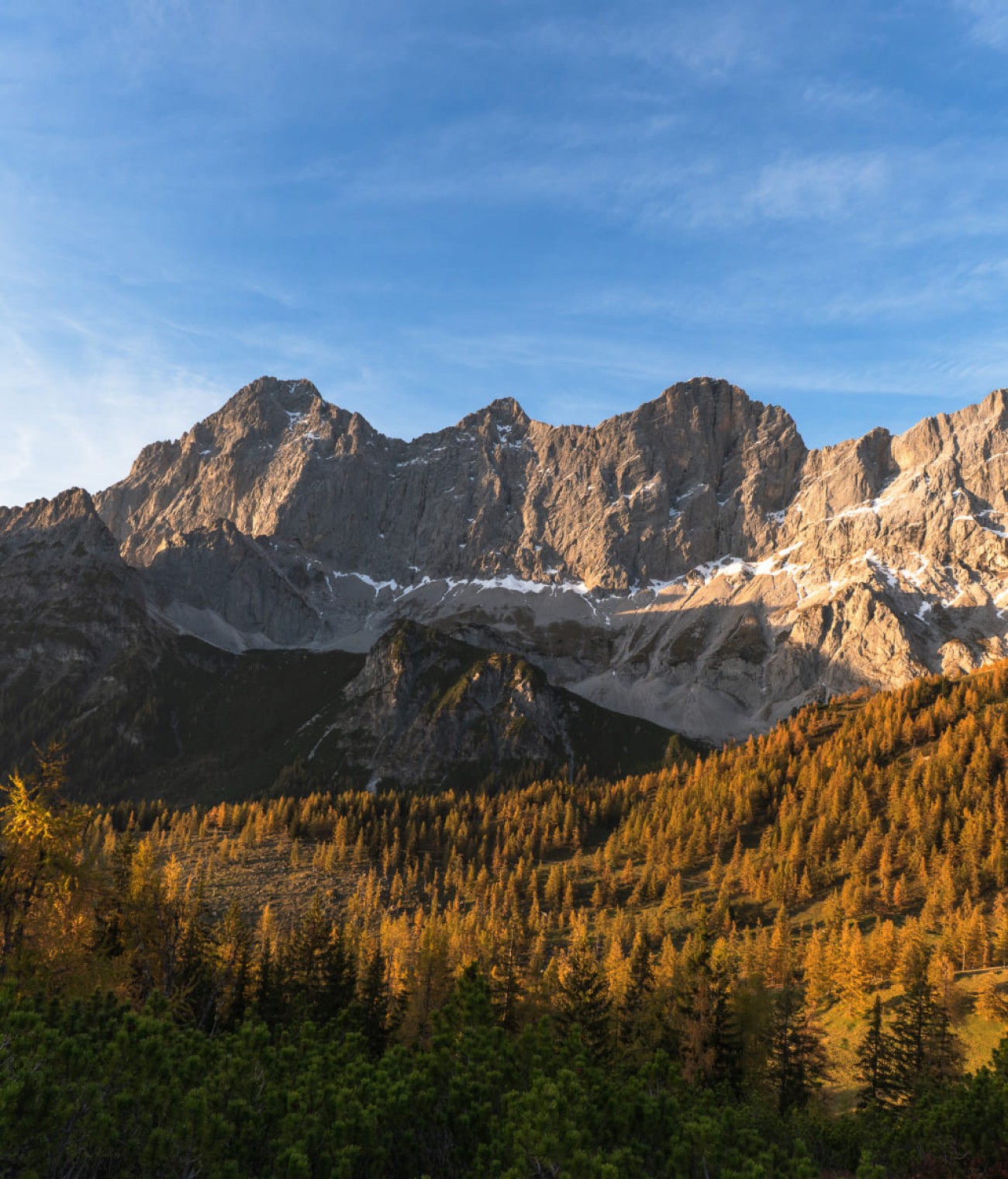 Wandern im Herbst mit einer Famlilie im Wald © Unsplash / Michel Stockman